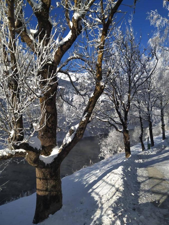 באד הופגסטין Alpenblick Apartment Gastein - Inklusive Eintritt Alpentherme מראה חיצוני תמונה
