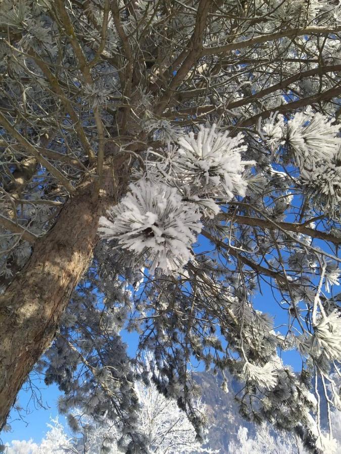 באד הופגסטין Alpenblick Apartment Gastein - Inklusive Eintritt Alpentherme מראה חיצוני תמונה