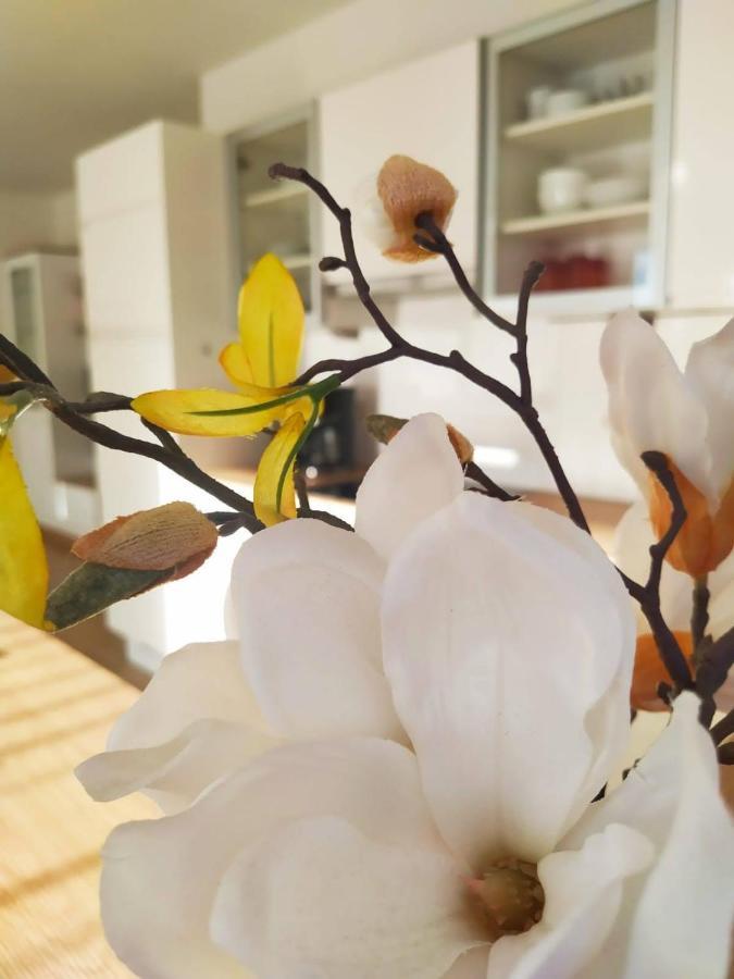 באד הופגסטין Alpenblick Apartment Gastein - Inklusive Eintritt Alpentherme מראה חיצוני תמונה